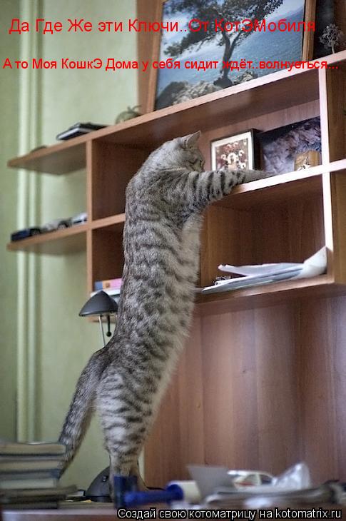 Да Где Же эти Ключи..От КотЭМобиля А то Моя КошкЭ Дома у себя сидит ждёт..волнуеться...... Котоматрица: Да Где Же эти Ключи..От КотЭМобиля А то Моя КошкЭ Дома у себя сидит ждёт..волнуеться...