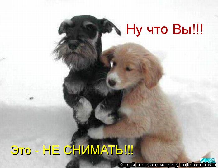 Ну что Вы!!! Это - НЕ СНИМАТЬ!!!... Котоматрица: Ну что Вы!!! Это - НЕ СНИМАТЬ!!!