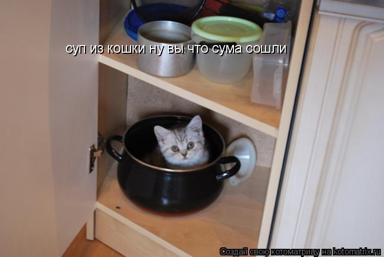 Котоматрица: суп из кошки ну вы что сума сошли