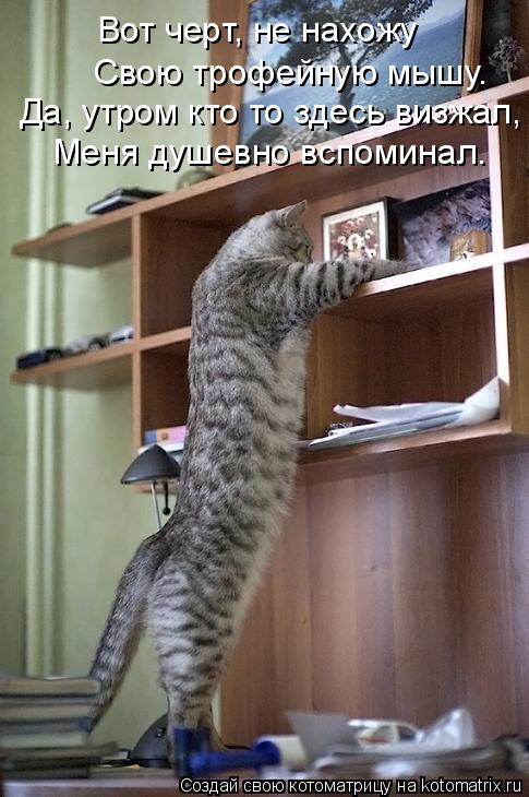 Вот черт, не нахожу Свою трофейную мышу. Да, утром кто то здесь визжал, Меня душевно вспоминал.... Котоматрица: Вот черт, не нахожу Свою трофейную мышу. Да, утром кто то здесь визжал, Меня душевно вспоминал.