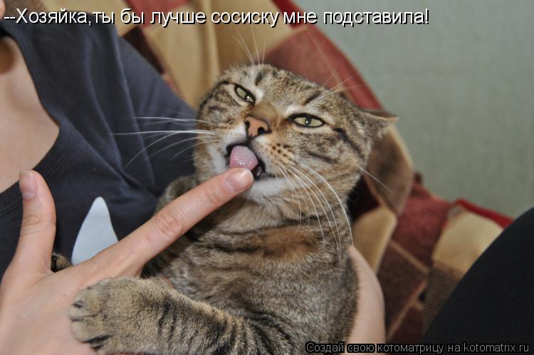 --Хозяйка,ты бы лучше сосиску мне подставила!... Котоматрица: --Хозяйка,ты бы лучше сосиску мне подставила!