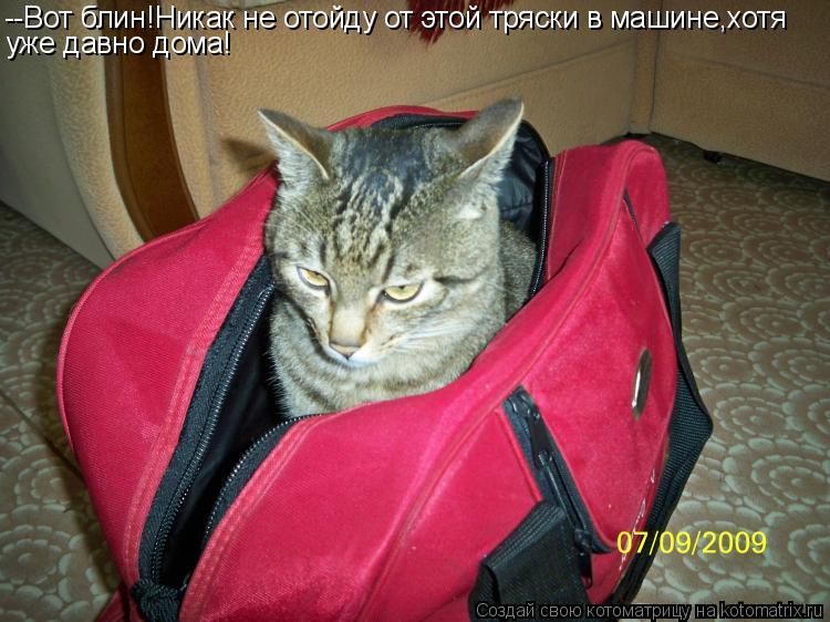 --Вот блин!Никак не отойду от этой тряски в машине,хотя уже давно дома!... Котоматрица: --Вот блин!Никак не отойду от этой тряски в машине,хотя уже давно дома!