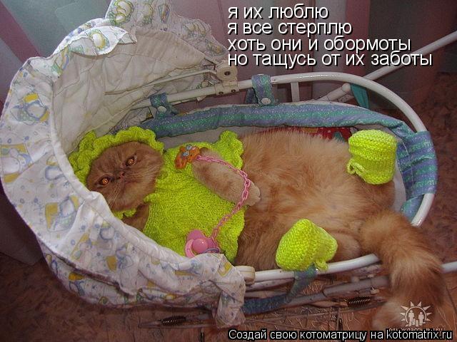 я их люблю я все стерплю хоть они и обормоты но тащусь от их заботы... Котоматрица: я их люблю я все стерплю хоть они и обормоты но тащусь от их заботы