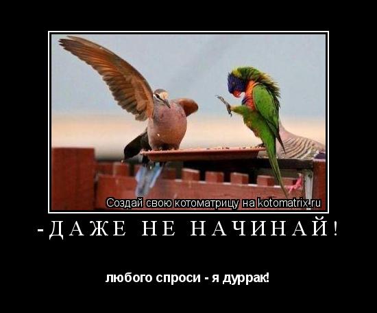 -даже не начинай! любого спроси - я дуррак!... Котоматрица: -даже не начинай! любого спроси - я дуррак!