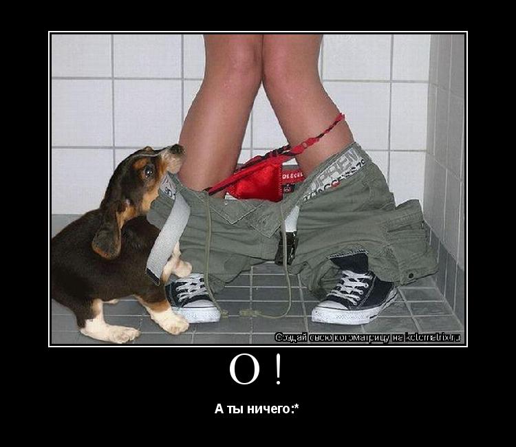 О! А ты ничего:*... Котоматрица: О! А ты ничего:*