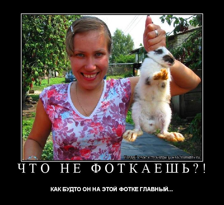 ЧТО НЕ ФОТКАЕШЬ?! КАК БУДТО ОН НА ЭТОЙ ФОТКЕ ГЛАВНЫЙ...... Котоматрица: ЧТО НЕ ФОТКАЕШЬ?! КАК БУДТО ОН НА ЭТОЙ ФОТКЕ ГЛАВНЫЙ...