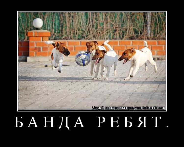 Котоматрица: Банда ребят. 