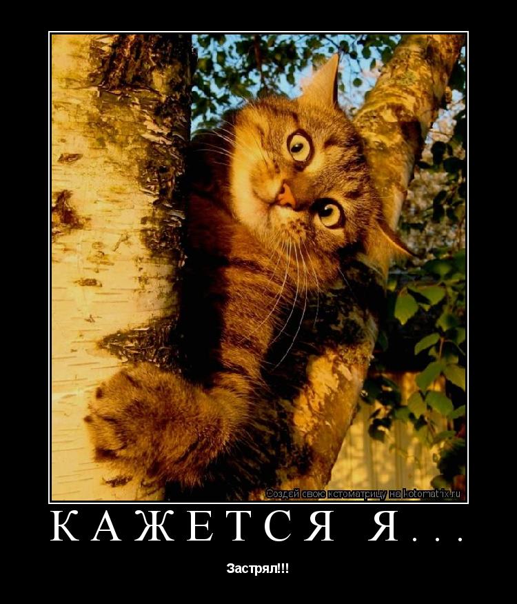 Кажется я... Застрял!!!... Котоматрица: Кажется я... Застрял!!!