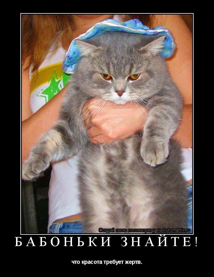 Котоматрица: Бабоньки знайте! что красота требует жертв.