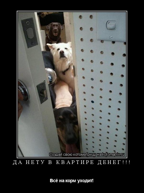 да нету в квартире денег!!! Всё на корм уходит!... Котоматрица: да нету в квартире денег!!! Всё на корм уходит!