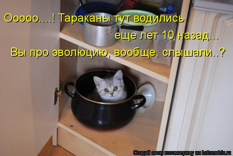Ооооо....! Тараканы тут водились еще лет 10 назад... Вы про эволюцию, вообще, слышали..?... Котоматрица: Ооооо....! Тараканы тут водились еще лет 10 назад... Вы про эволюцию, вообще, слышали..?