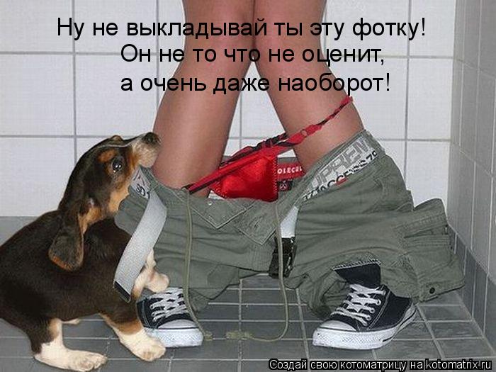 Ну не выкладывай ты эту фотку! Он не то что не оценит, а очень даже наоборот!... Котоматрица: Ну не выкладывай ты эту фотку! Он не то что не оценит, а очень даже наоборот!