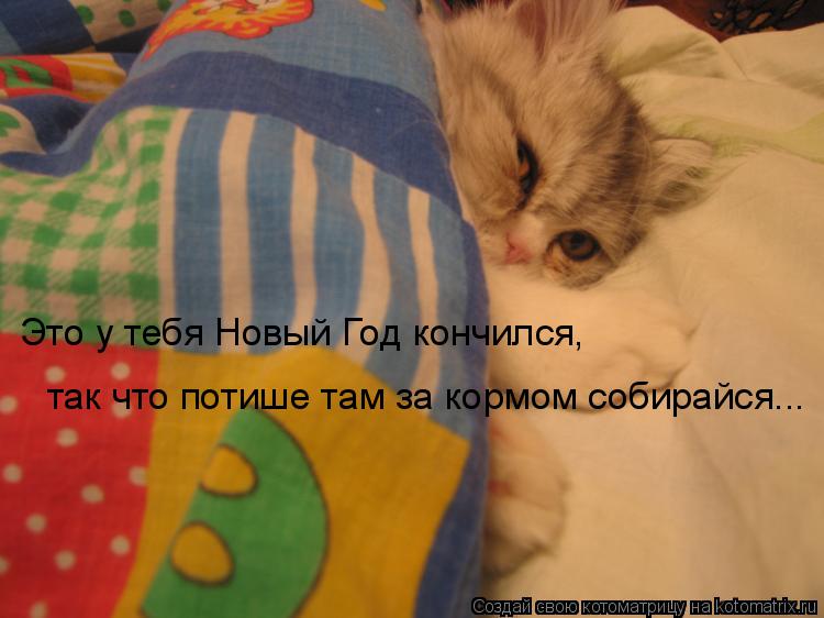 Это у тебя Новый Год кончился, так что потише там за кормом собирайся...... Котоматрица: Это у тебя Новый Год кончился, так что потише там за кормом собирайся...