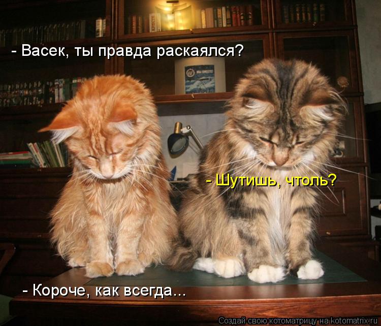 - Васек, ты правда раскаялся? - Шутишь, чтоль? - Короче, как всегда...... Котоматрица: - Васек, ты правда раскаялся? - Шутишь, чтоль? - Короче, как всегда...
