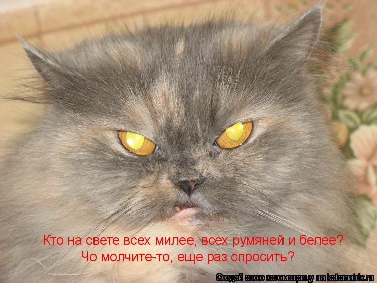 Кто на свете всех милее, всех румяней и белее? Чо молчите-то, еще раз спросить?... Котоматрица: Кто на свете всех милее, всех румяней и белее? Чо молчите-то, еще раз спросить?