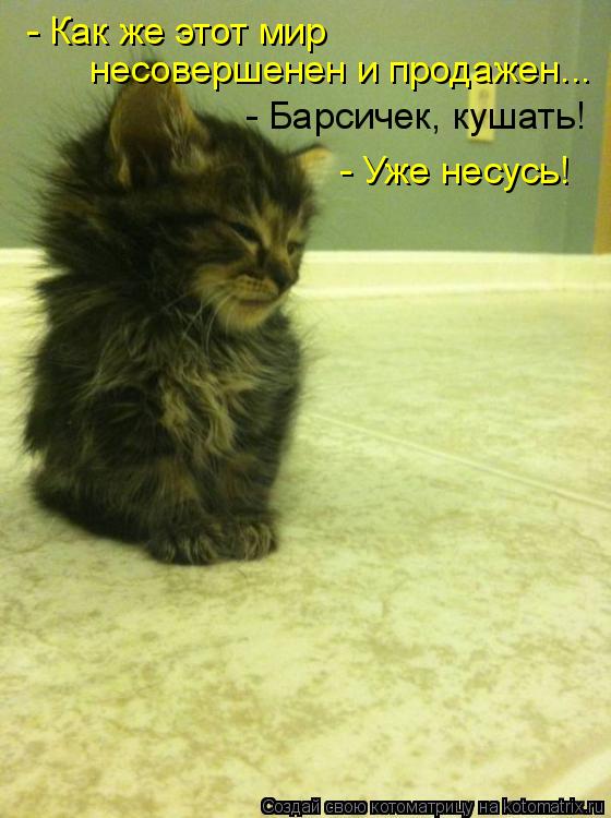 - Как же этот мир несовершенен и продажен... - Барсичек, кушать! - Уже несусь!... Котоматрица: - Как же этот мир несовершенен и продажен... - Барсичек, кушать! - Уже несусь!