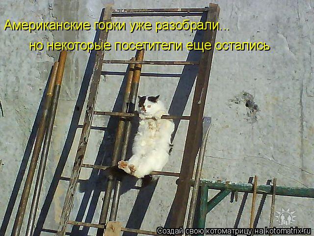 Американские горки уже разобрали... но некоторые посетители еще остались... Котоматрица: Американские горки уже разобрали... но некоторые посетители еще остались