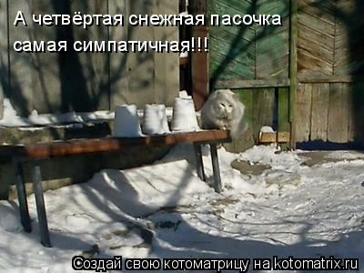 А четвёртая снежная пасочка самая симпатичная!!!... Котоматрица: А четвёртая снежная пасочка самая симпатичная!!!