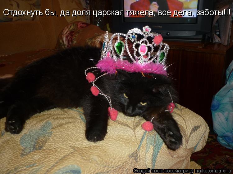 Отдохнуть бы, да доля царская тяжела, все дела, заботы!!!... Котоматрица: Отдохнуть бы, да доля царская тяжела, все дела, заботы!!!
