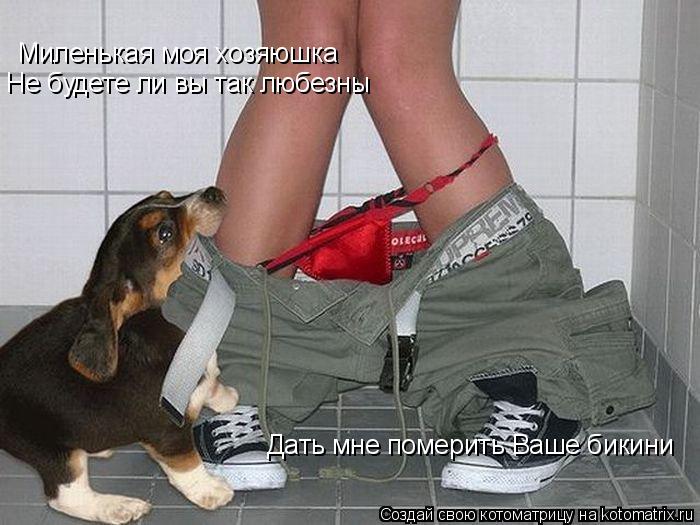 Миленькая моя хозяюшка Не будете ли вы так любезны Дать мне померить Ваше бикини... Котоматрица: Миленькая моя хозяюшка Не будете ли вы так любезны Дать мне померить Ваше бикини