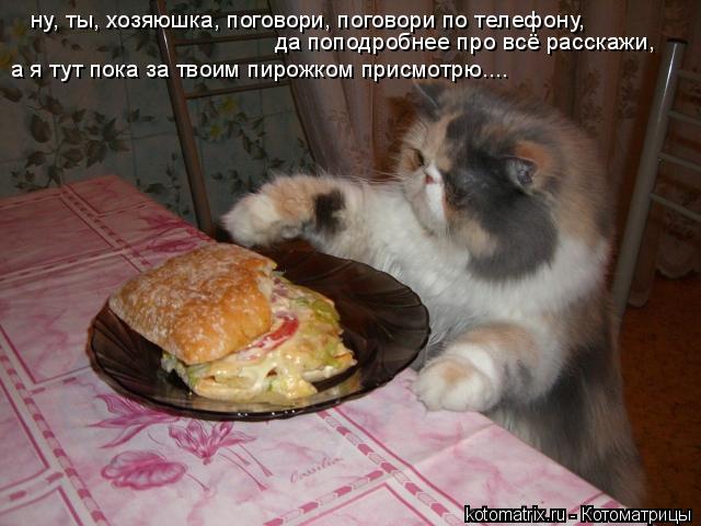 ну, ты, хозяюшка, поговори, поговори по телефону, да поподробнее про всё расскажи, а я тут пока за т... Котоматрица: ну, ты, хозяюшка, поговори, поговори по телефону, да поподробнее про всё расскажи, а я тут пока за твоим пирожком присмотрю....