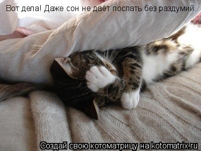 Вот дела! Даже сон не даёт поспать без раздумий.... Котоматрица: Вот дела! Даже сон не даёт поспать без раздумий.