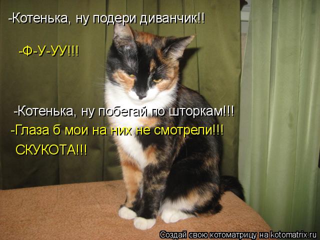 -Котенька, ну подери диванчик!! -Котенька, ну побегай по шторкам!!! -Глаза б мои на них не смотрели!!... Котоматрица: -Котенька, ну подери диванчик!! -Котенька, ну побегай по шторкам!!! -Глаза б мои на них не смотрели!!! -Ф-У-УУ!!! СКУКОТА!!!