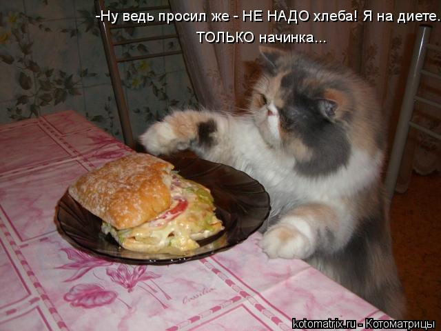 ТОЛЬКО начинка... -Ну ведь просил же - НЕ НАДО хлеба! Я на диете.... Котоматрица: ТОЛЬКО начинка... -Ну ведь просил же - НЕ НАДО хлеба! Я на диете.