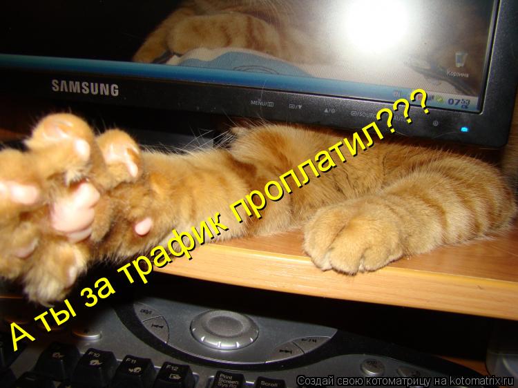 А ты за трафик проплатил???... Котоматрица: А ты за трафик проплатил???