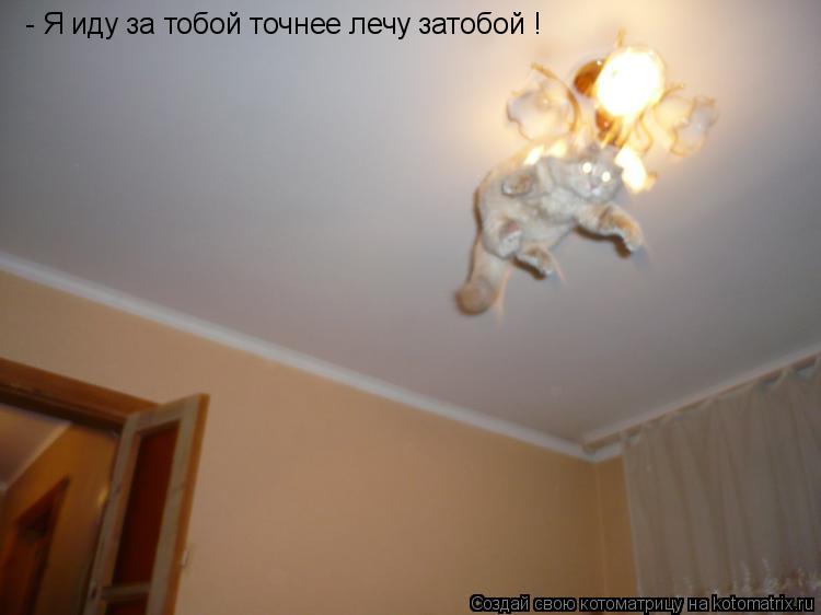 - Я иду за тобой точнее лечу затобой !... Котоматрица: - Я иду за тобой точнее лечу затобой !