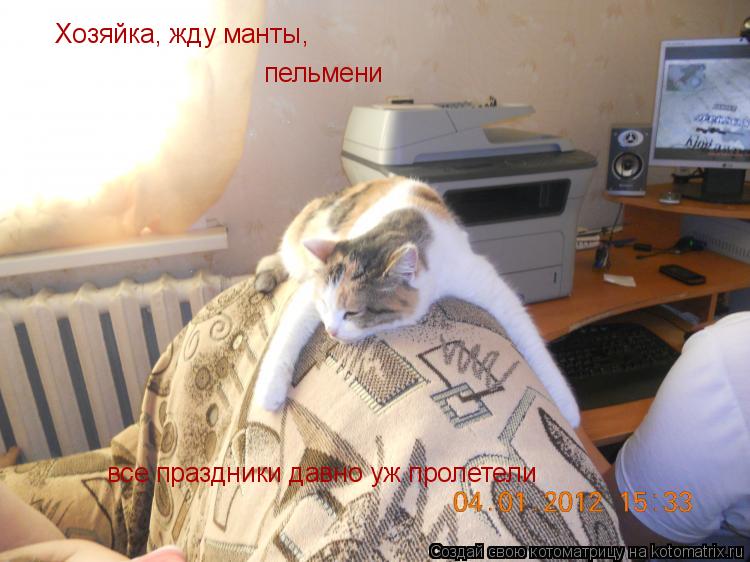 Хозяйка, жду манты, пельмени все праздники давно уж пролетели... Котоматрица: Хозяйка, жду манты, пельмени все праздники давно уж пролетели