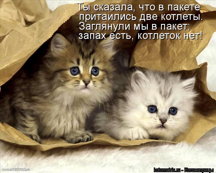 Ты сказала, что в пакете запах есть, котлеток нет! притаились две котлеты. Заглянули мы в пакет:... Котоматрица: Ты сказала, что в пакете запах есть, котлеток нет! притаились две котлеты. Заглянули мы в пакет: