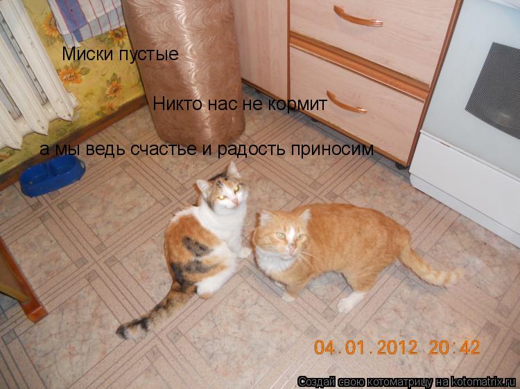 Миски пустые Никто нас не кормит а мы ведь счастье и радость приносим... Котоматрица: Миски пустые Никто нас не кормит а мы ведь счастье и радость приносим