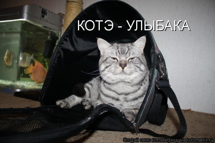 КОТЭ - УЛЫБАКА... Котоматрица: КОТЭ - УЛЫБАКА