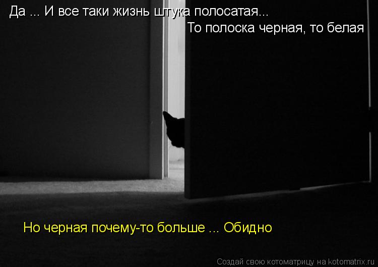 Да ... И все таки жизнь штука полосатая... То полоска черная, то белая Но черная почему-то больше ..... Котоматрица: Да ... И все таки жизнь штука полосатая... То полоска черная, то белая Но черная почему-то больше ... Обидно