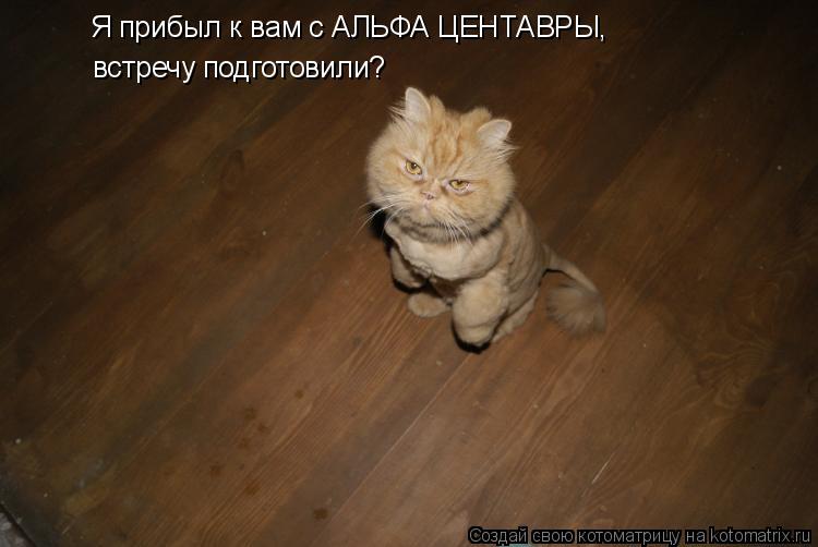 Я прибыл к вам с АЛЬФА ЦЕНТАВРЫ, встречу подготовили?... Котоматрица: Я прибыл к вам с АЛЬФА ЦЕНТАВРЫ, встречу подготовили?