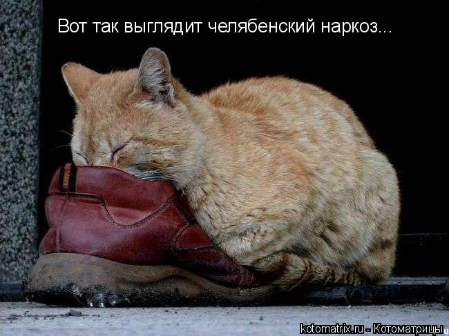 Вот так выглядит челябенский наркоз...... Котоматрица: Вот так выглядит челябенский наркоз...