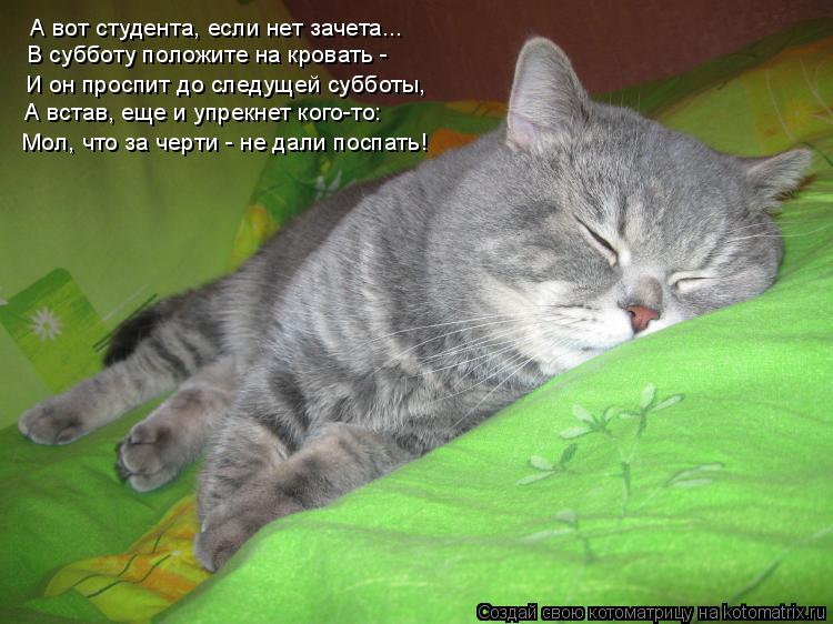 А вот студента, если нет зачета... В субботу положите на кровать - И он проспит до следущей субботы,... Котоматрица: А вот студента, если нет зачета... В субботу положите на кровать - И он проспит до следущей субботы, А встав, еще и упрекнет кого-то: Мол, что за