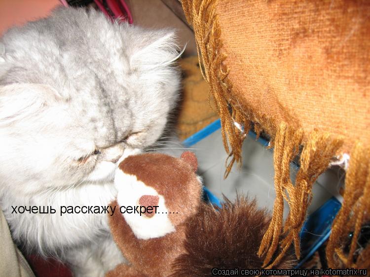 хочешь расскажу секрет......... Котоматрица: хочешь расскажу секрет......