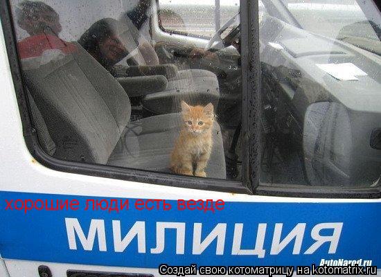 хорошие люди есть везде... Котоматрица: хорошие люди есть везде