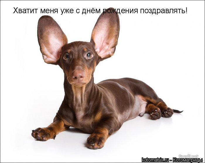 Хватит меня уже с днём рождения поздравлять!... Котоматрица: Хватит меня уже с днём рождения поздравлять!