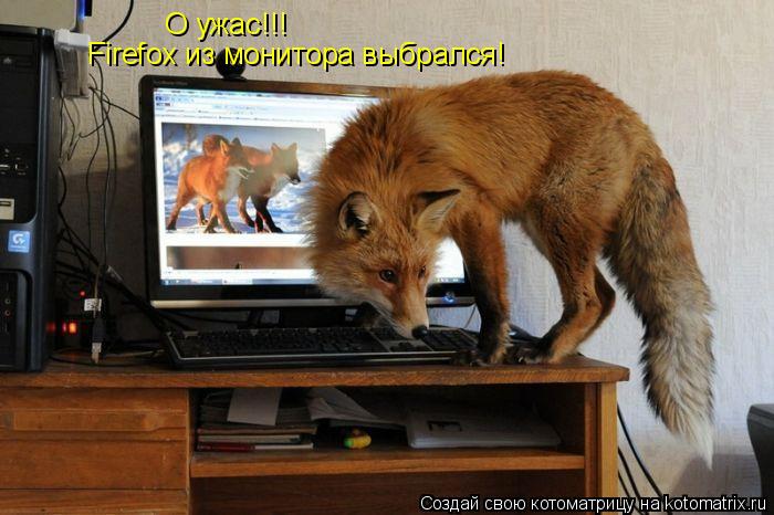 О ужас!!! Firefox из монитора выбрался!... Котоматрица: О ужас!!! Firefox из монитора выбрался!