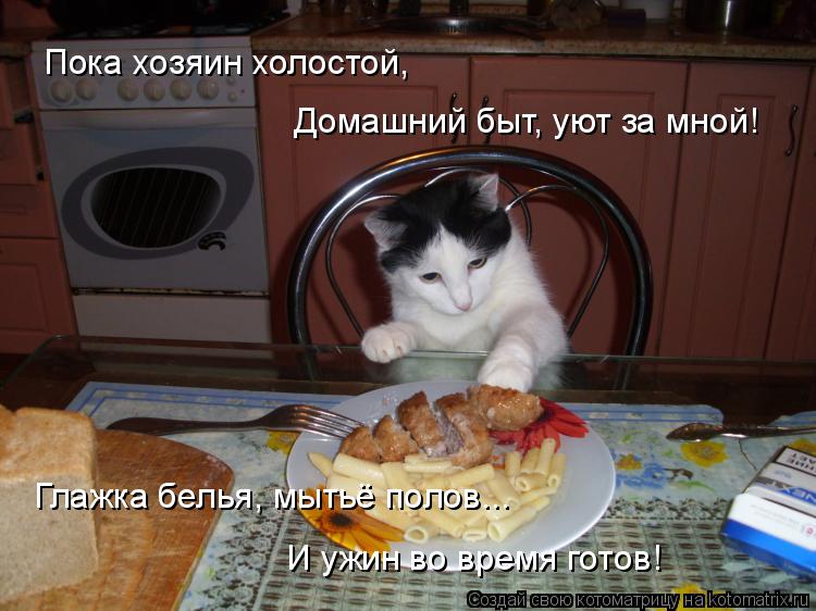 Пока хозяин холостой, Домашний быт, уют за мной! Глажка белья, мытьё полов... И ужин во время готов!... Котоматрица: Пока хозяин холостой, Домашний быт, уют за мной! Глажка белья, мытьё полов... И ужин во время готов!