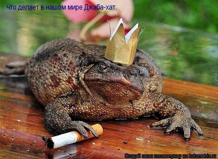 что делает в нашом мире Джаба-хат.... Котоматрица: что делает в нашом мире Джаба-хат.