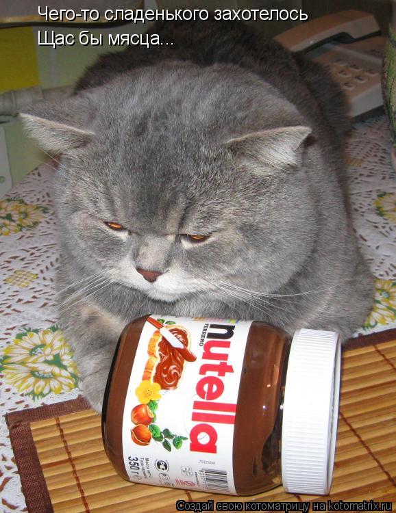 Чего-то сладенького захотелось Щас бы мясца...... Котоматрица: Чего-то сладенького захотелось Щас бы мясца...