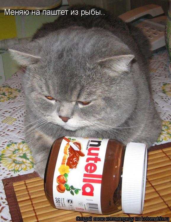 Меняю на паштет из рыбы..... Котоматрица: Меняю на паштет из рыбы..