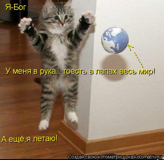 Я-Бог У меня в рука...тоесть в лапах весь мир! ------- /\ А ещё,я летаю!... Котоматрица: Я-Бог У меня в рука...тоесть в лапах весь мир! ------- /\ А ещё,я летаю!