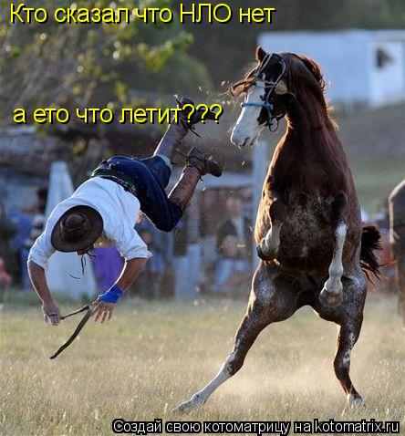 а ето что летит??? Кто сказал что НЛО нет... Котоматрица: а ето что летит??? Кто сказал что НЛО нет