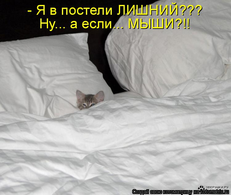 Котоматрица: - Я в постели ЛИШНИЙ??? Ну... а если... МЫШИ?!!
