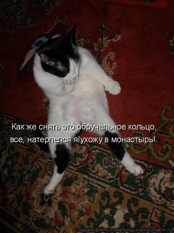 Как же снять это обручальное кольцо, все, натерпелся я!ухожу в монастырь!... Котоматрица: Как же снять это обручальное кольцо, все, натерпелся я!ухожу в монастырь!